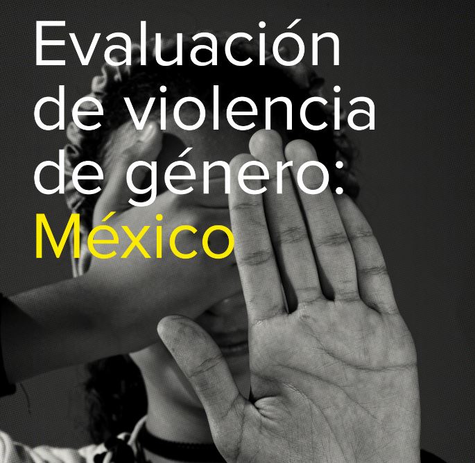 Evaluación de violencia de género: México